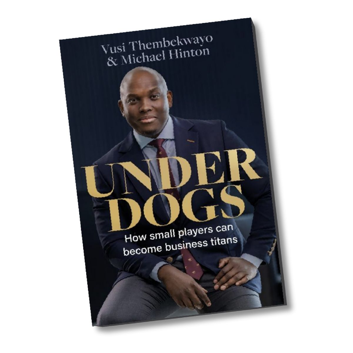Underdogs - Book by Vusi Thembekwayo and Michael Hinton